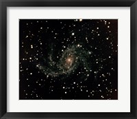 Framed Spiral Galaxy Type SC in Cygnas