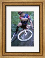 Framed Young man on a bicycle
