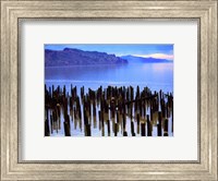 Framed Wooden posts in water, Columbia River, Washington, USA