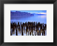 Framed Wooden posts in water, Columbia River, Washington, USA