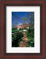 Framed Trees in a garden, Dumbarton Oaks House, Georgetown, Washington DC, USA