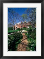 Framed Trees in a garden, Dumbarton Oaks House, Georgetown, Washington DC, USA