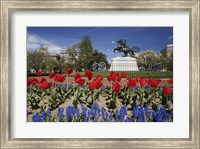 Framed Andrew Jackson Statue, Washington D.C., USA
