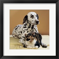 Framed Dalmatian and Cat