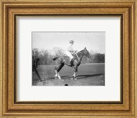 Framed Capt. Lloyd  Eng. Polo Team