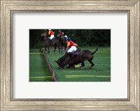 Framed Polo - red and yellow