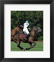 Framed Polo nearside back