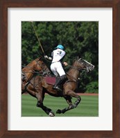 Framed Polo nearside back