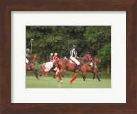 Framed Polo Umpire