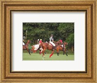 Framed Polo Umpire