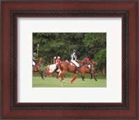 Framed Polo Umpire