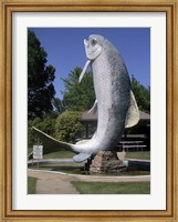 Framed Adaminaby big trout