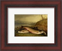 Framed Brooklyn Museum - Trout - Walter M. Brackett