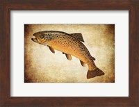 Framed Brown Trout II