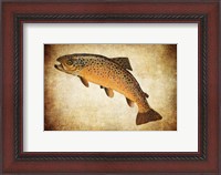 Framed Brown Trout II