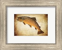 Framed Brown Trout II