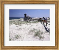 Framed Cape Cod National Seashore USA