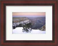 Framed High angle view of a tree on a snow covered mountain, South Rim, Grand Canyon National Park, Arizona, USA