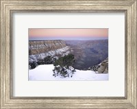 Framed High angle view of a tree on a snow covered mountain, South Rim, Grand Canyon National Park, Arizona, USA
