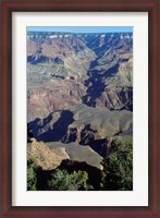 Framed Grand Canyon National Park with Green Trees