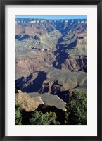 Framed Grand Canyon National Park with Green Trees