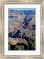 Framed Grand Canyon National Park with Green Trees