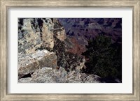 Framed Looking Down Into the Grand Canyon