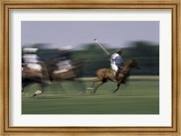 Framed Polo match in progress