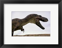 Framed Tyrannosaurus Rex, Royal Tyrrell Museum, Drumheller, Alberta, Canada