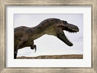 Framed Tyrannosaurus Rex, Royal Tyrrell Museum, Drumheller, Alberta, Canada