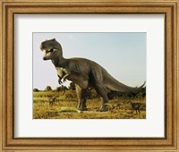 Framed Tyrannosaur Stealing The Kill Thescelosaur From Dromeosaurs