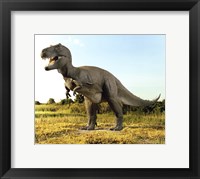 Framed Close-up of a tyrannosaurus rex standing in a field