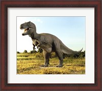 Framed Close-up of a tyrannosaurus rex standing in a field