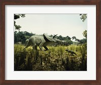 Framed Triceratops with a tyrannosaur and a torosaurus in a forest