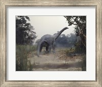 Framed Rear view of an alamosaurus walking in a forest