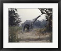 Framed Rear view of an alamosaurus walking in a forest