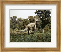 Framed Side profile of a parasaurolophus walking in a forest