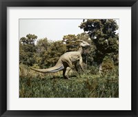 Framed Side profile of a parasaurolophus walking in a forest
