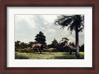 Framed Side profile of a tyrannosaur attacking a group of anatosaurus