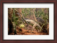 Framed Anchisaurus Dinosaur State Park Connecticut, USA