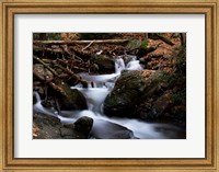 Framed Autumn at Mt. Tammany