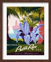 Framed Discover Puerto Rico