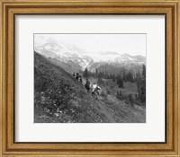 Framed People on horseback, on trail, Van Trump Park, Mt. Rainier National Park, Washington