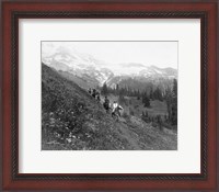Framed People on horseback, on trail, Van Trump Park, Mt. Rainier National Park, Washington