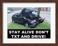 Framed Don't Text and Drive