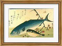 Framed Hiroshige A Shoal of Fishes Fugu Yellowtail