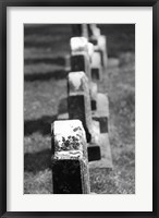 Framed Rows of Stone