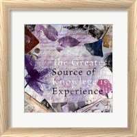 Framed Source of Experience - mini