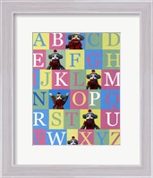 Framed Alphabet Theory - mini