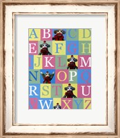 Framed Alphabet Theory - mini